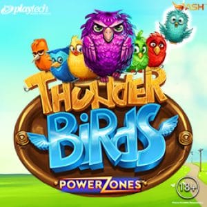 Power Zones™ Thunder Birds screenshot